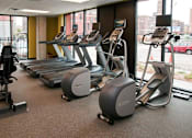 Thumbnail 57 of 73 - Cardio Equipement
