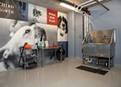 Thumbnail 66 of 73 - dog wash and grooming station