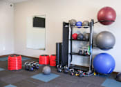 Thumbnail 16 of 21 - A gym with a variety of equipment including kettlebells, balls, and weight plates.