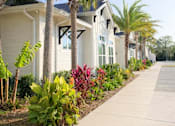Thumbnail 17 of 28 - A row of houses with a sidewalk in front.