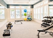 Thumbnail 8 of 22 - A gym with a variety of equipment including weights and exercise balls.