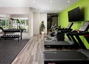 Thumbnail 8 of 28 - A gym with treadmills, weights, and exercise equipment.