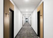 Thumbnail 9 of 28 - A long hallway with doors on both sides and a carpeted floor.