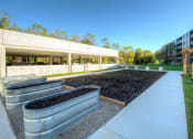 Thumbnail 11 of 19 - a view of the garden from the sidewalk in front of the building