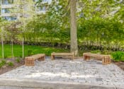 Thumbnail 15 of 23 - a group of benches sitting next to a tree