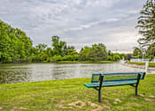 Thumbnail 27 of 31 - A green bench is situated on the grass by a body of water.