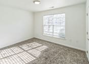 Thumbnail 5 of 16 - A sunny room with a carpeted floor and a window with blinds.