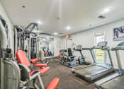 Thumbnail 15 of 20 - A gym with a variety of equipment including treadmills, weights, and exercise machines.