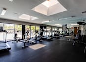 Thumbnail 13 of 16 - A gym with a variety of equipment including treadmills, weights, and exercise machines.