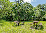 Thumbnail 7 of 14 - Picnic tables are set up in a grassy area with trees in the background.