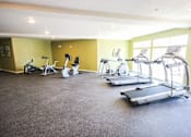 Thumbnail 17 of 34 - A room with a green wall and a treadmill.