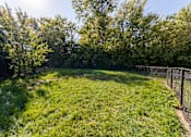 Thumbnail 42 of 43 - A sunny day in a green backyard with a fence.