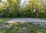 Thumbnail 43 of 43 - A basketball court surrounded by trees.