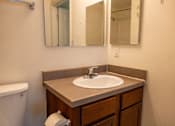 Thumbnail 30 of 41 - A bathroom with a sink, mirror, and toilet paper.
