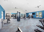 Thumbnail 73 of 83 - A gym with a variety of equipment including treadmills, weights, and a bench press.