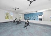 Thumbnail 74 of 83 - A room with exercise bikes and a wall mural.