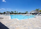 Thumbnail 58 of 83 - A large outdoor swimming pool surrounded by sun loungers and palm trees.