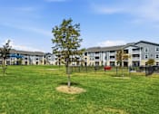 Thumbnail 10 of 45 - A tree stands in a circle of grass in front of apartment buildings.