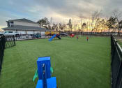 Thumbnail 20 of 42 - Dog park with a fence with obstacles at Aurora apartments
