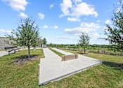 Thumbnail 44 of 50 - A park with a bench, a tree, and a concrete path.