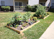 Thumbnail 5 of 16 - A garden with a variety of plants and flowers.