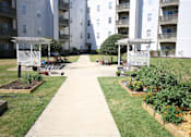 Thumbnail 6 of 16 - A garden area with a walkway in the middle of it.