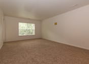Thumbnail 18 of 24 - Empty room with carpeted floor and a window.