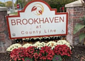 Thumbnail 15 of 21 - A sign that says Brookhaven at the County Line.