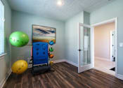 Thumbnail 66 of 83 - A room with a blue exercise machine and a green exercise ball.