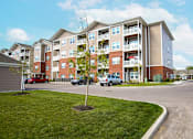 Thumbnail 3 of 15 - A tree stands in a grassy area in front of apartment buildings.