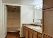 Thumbnail 10 of 20 - a bathroom with a door separating the tub/shower and toilet from the sink, counter space, cabinets and linen closet