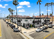 Thumbnail 64 of 64 - A row of white buildings with palm trees in front.