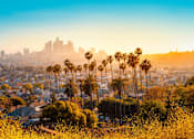 Thumbnail 1 of 10 - A city skyline is visible through a hazy atmosphere with palm trees in the foreground.