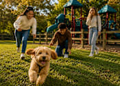 Thumbnail 8 of 52 - A dog is running towards the camera with two people chasing it in a park.