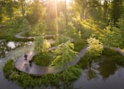 Thumbnail 50 of 52 - A person walking a dog on a wooden path in a lush green forest.