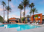Thumbnail 5 of 17 - A swimming pool surrounded by palm trees and lounge chairs.