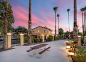Thumbnail 5 of 13 - A sunset view of a palm tree lined walkway.
