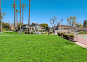 Thumbnail 5 of 13 - A grassy area with a bench and trees in front of a building.