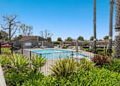 Thumbnail 8 of 13 - A pool surrounded by green plants and trees.
