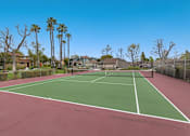 Thumbnail 10 of 13 - A tennis court with a green and red surface surrounded by houses and palm trees.