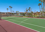 Thumbnail 11 of 13 - A tennis court with a net and palm trees in the background.