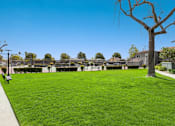 Thumbnail 7 of 13 - A large grassy area with a tree and benches.