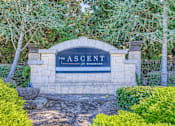Thumbnail 16 of 32 - A sign that says "The Ascent Apartment Homes" is in front of some trees.
