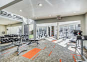 Thumbnail 6 of 20 - A gym with a variety of equipment including treadmills, weights, and exercise machines.