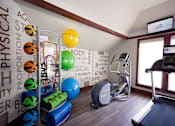Thumbnail 17 of 24 - A gym with a treadmill, exercise balls and other equipment.