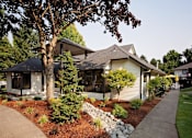 Thumbnail 22 of 24 - A house with a white siding and a brown roof is surrounded by a garden with a variety of plants and trees.