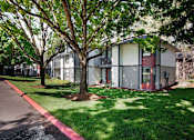 Thumbnail 23 of 24 - A tree in front of a building with a red line on the ground.