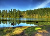 Thumbnail 21 of 46 - A small lake with trees in the background in neighborhood at Thrive at Green Mountain, Camas, WA, 98607