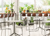 Thumbnail 6 of 16 - Dining Area at Nomad Apartments, Portland, 97217