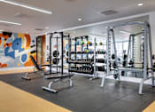 Thumbnail 6 of 78 - A gym with a variety of equipment including weights and weight machines.